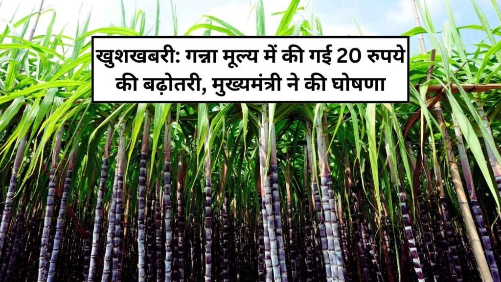 गन्ना मूल्य में की गई 20 रुपये की बढ़ोतरी, मुख्यमंत्री ने की घोषणा
